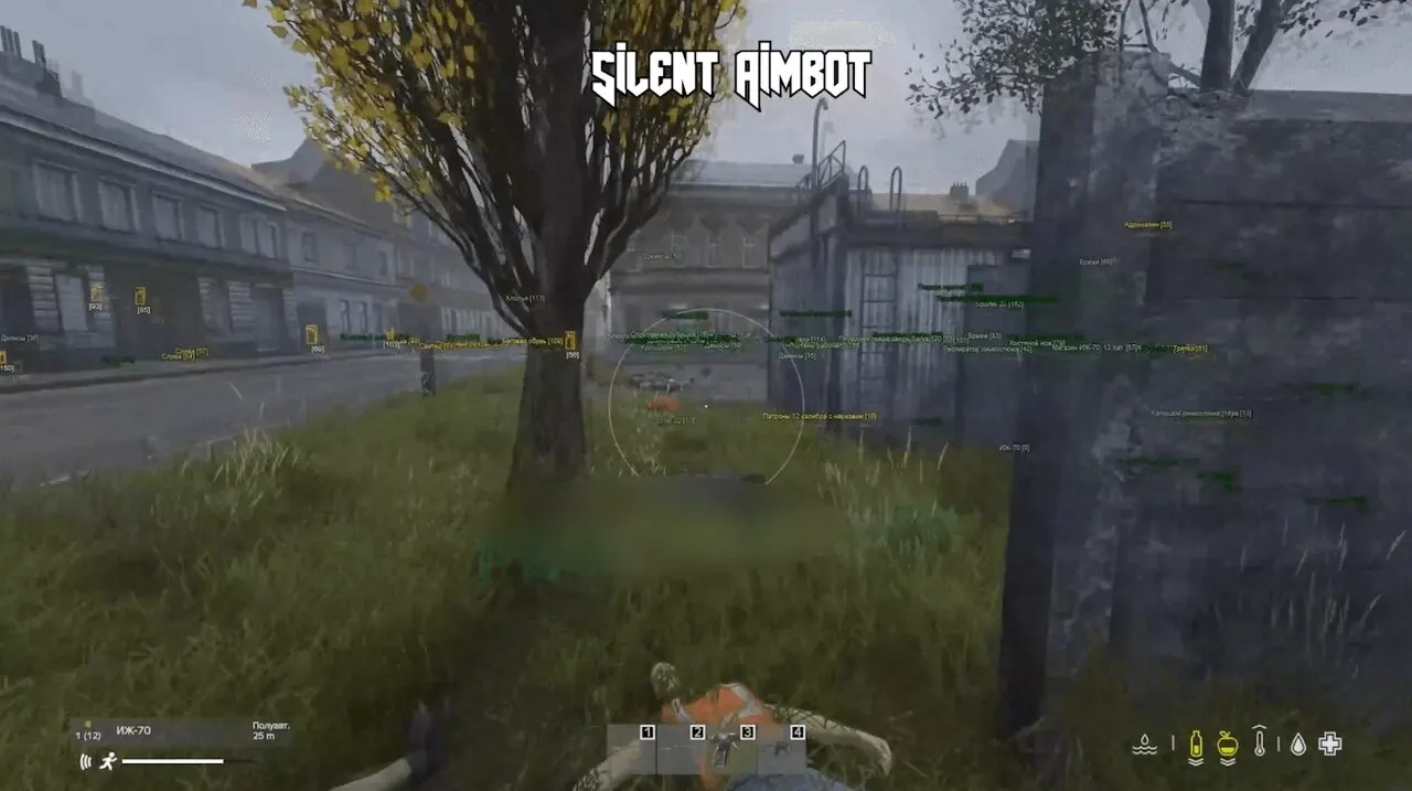 SOFTHUB для DayZ — скриншот интерфейса 1
