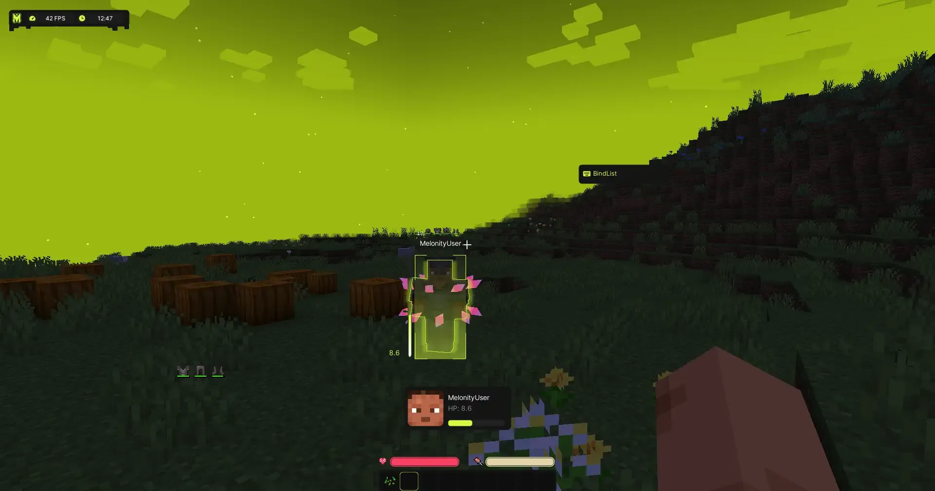 MELONITY MINECRAFT
