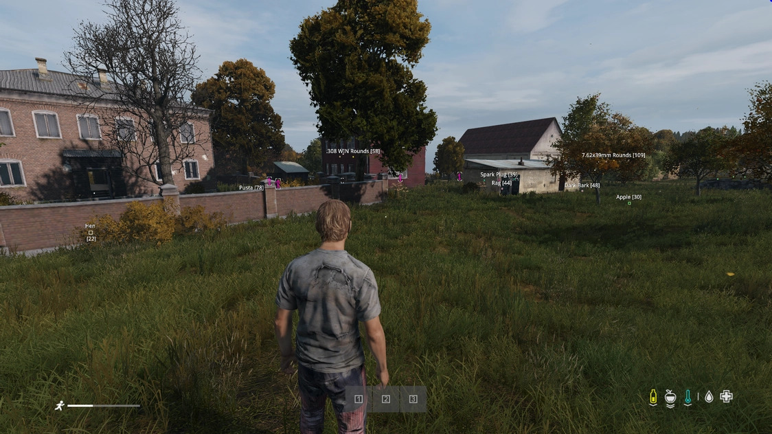 RING для DAYZ — миниатюра 7