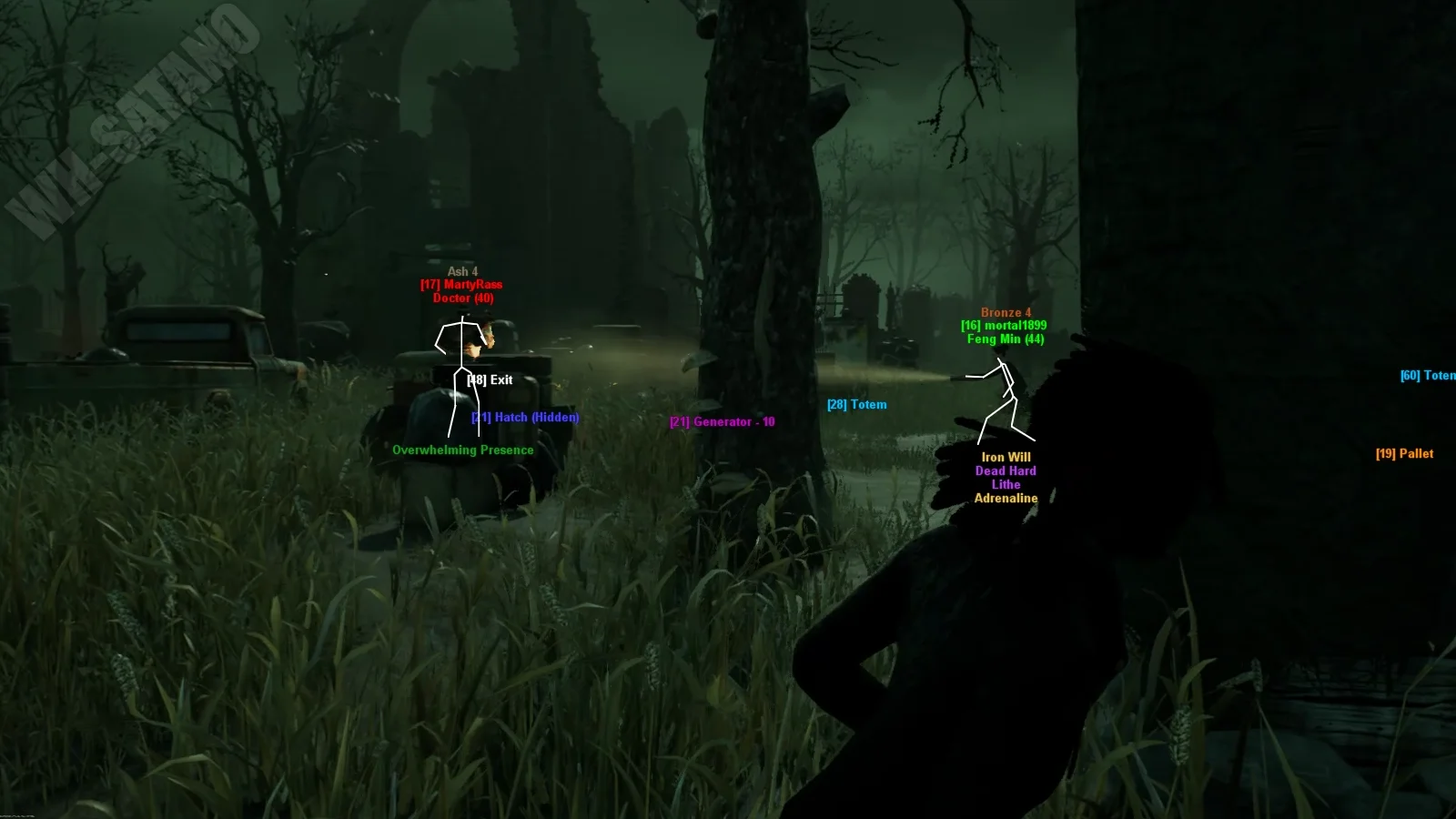 COLLAPSE DBD 1